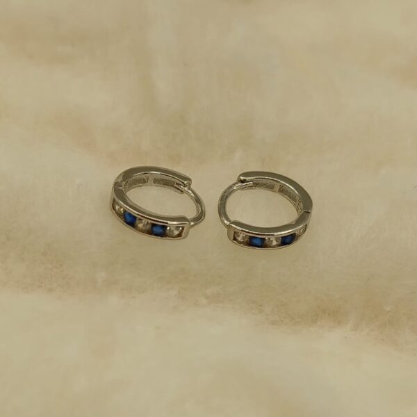 Beautiful Silver Hoop Earrings Beautiful Silver Hoop Earrings