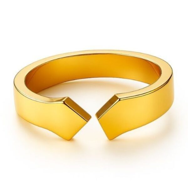 SILVER RING (22) SILVER RING (22)
