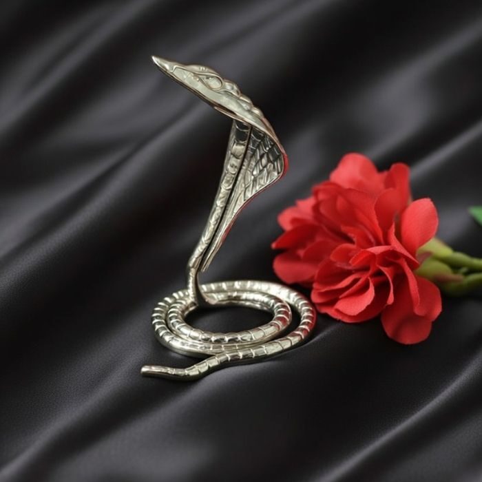 Silver jewellery gifted item 13