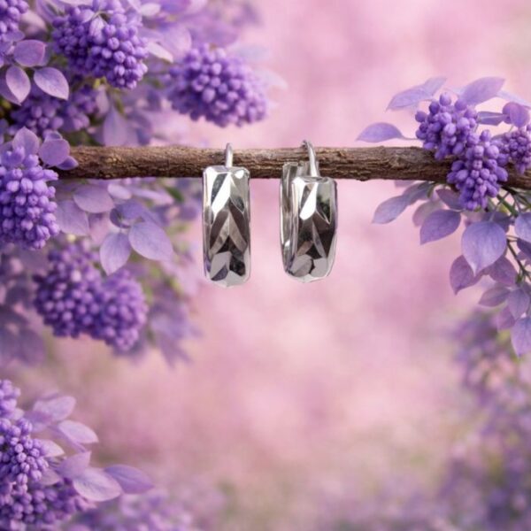 Sterling silver earring for unisex 19