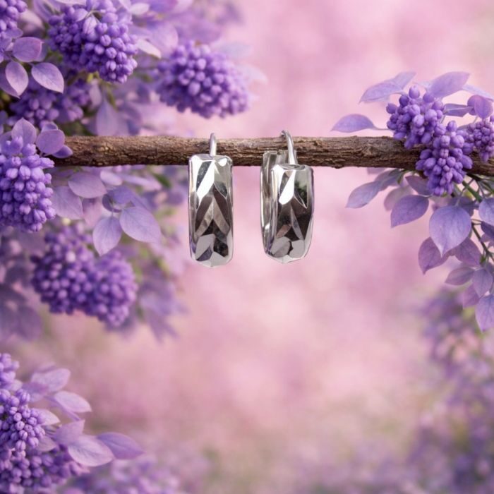 Sterling silver earring for unisex 19