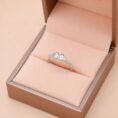 Box ring 2