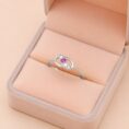 Box ring 6