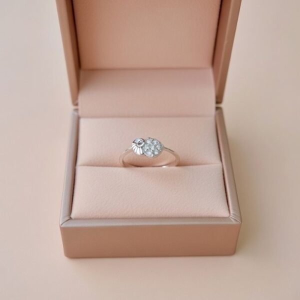 Boxx ring 1 Boxx ring 1