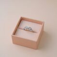 Boxx ring 2