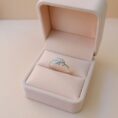 Ring box 20