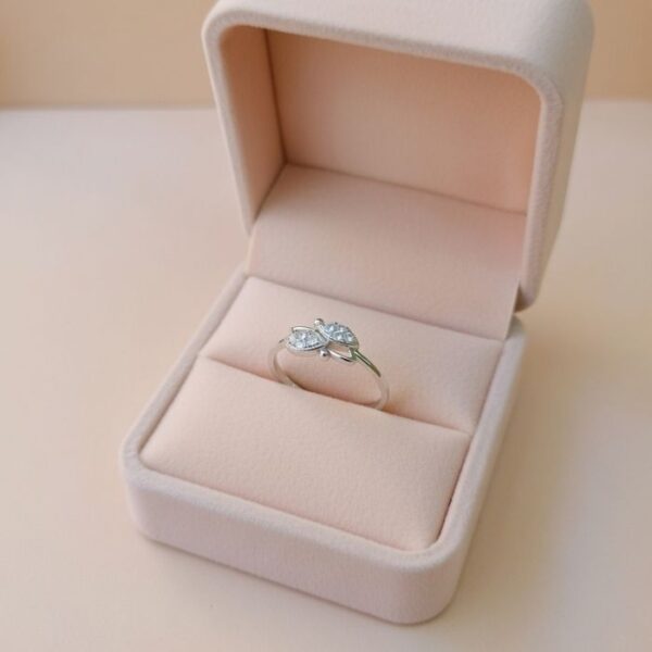 Ring box 20