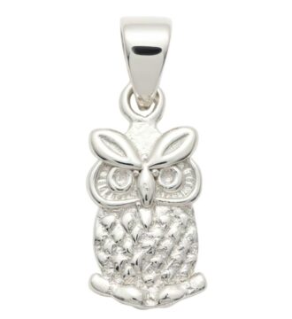 ELEGENT SILVER PANDET