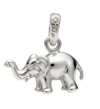 ELEGENT SILVER PANDET