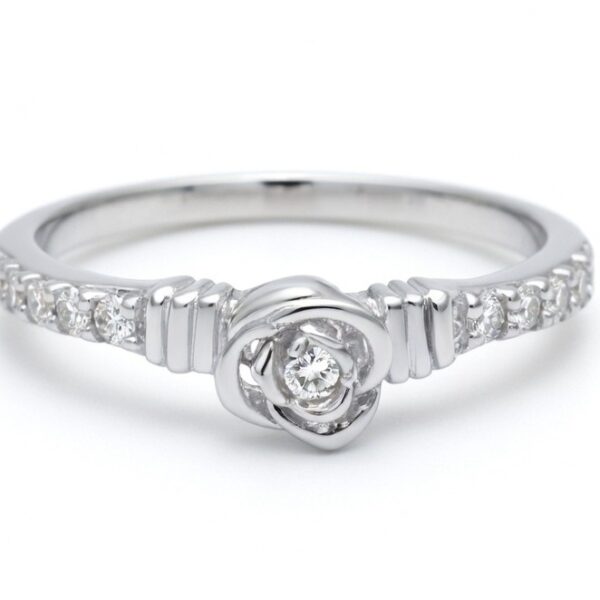 Silver ring 13 Silver ring 13