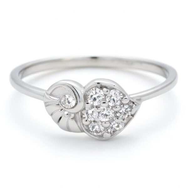 Silver ring 5 Silver ring 5
