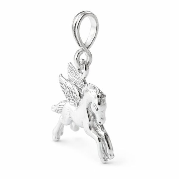 FLYING HORSE (4)