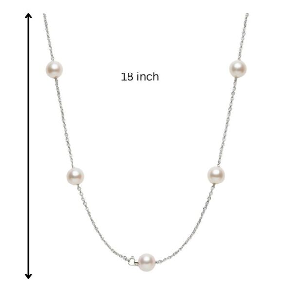 chain size (1) chain size (1)