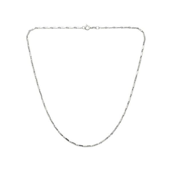 silver chain (14)