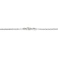 silver chain (19)