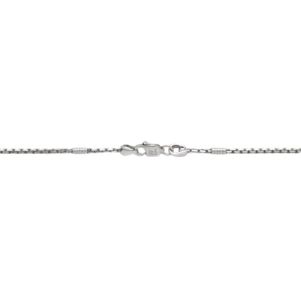 silver chain (19)