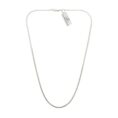 silver chain (20)