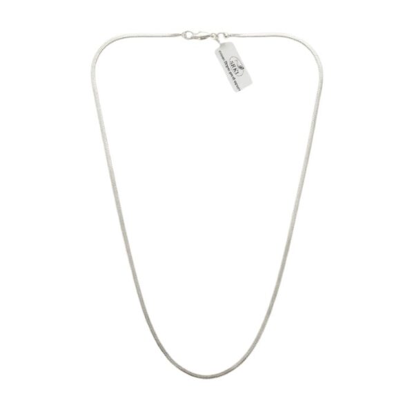 silver chain (20) silver chain (20)