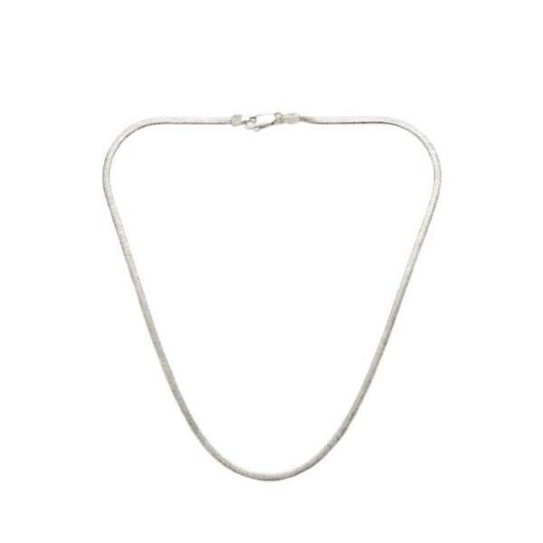 silver chain (22) silver chain (22)