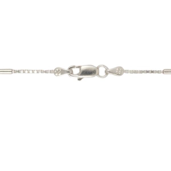 silver chain (6)