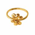 RING FOR GOLD POLISH (9)