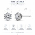 silver stud earring (3)