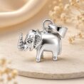 ELEPHANT LOCKET (5)