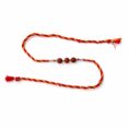 RUDARKSHA RAKHI (1)