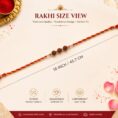 RUDARKSHA RAKHI (3)