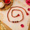RUDARKSHA RAKHI (4)