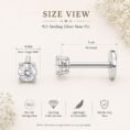 sillver nose pin (1)